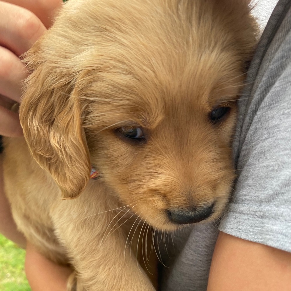 Meet your Posher, Hailey